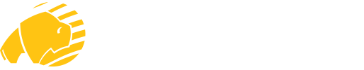 Bison Global